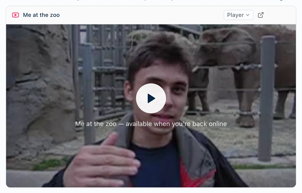 A video frame while offline. The caption under the play button reads 'Me at the zoo — available when you're back online'